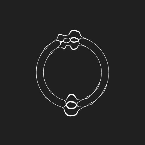 Orbit Wave