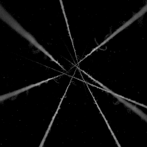 Strings of chance
