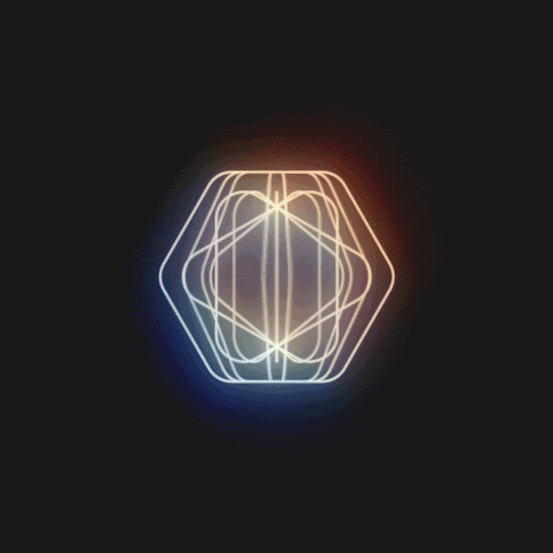 Vector Spin